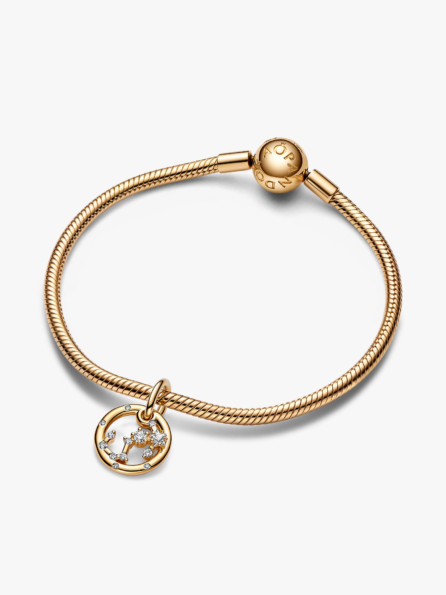 Sternzeichen Skorpion Armband Set