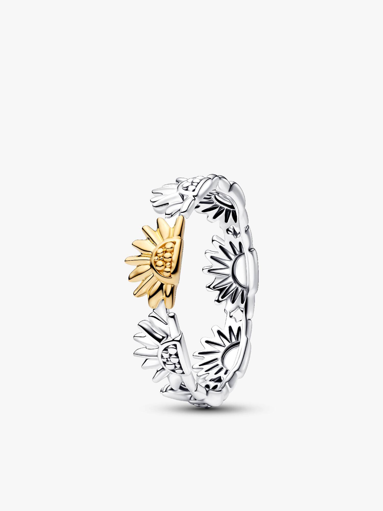 Sonnenblume Bicolor Bandring