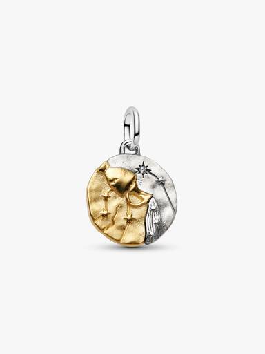 Sternzeichen Wassermann Medaillon-Charm