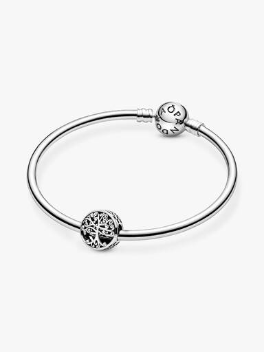 Stammbaum Charm