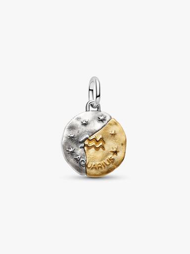Sternzeichen Wassermann Medaillon-Charm