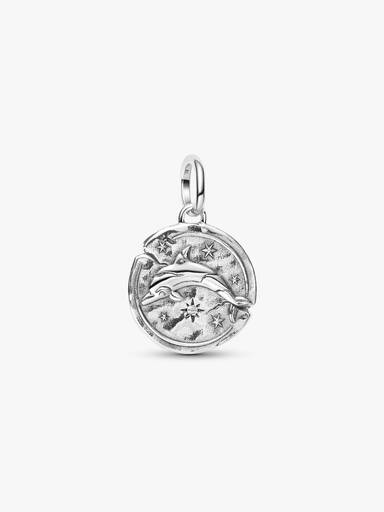 Delfin Medaillon-Charm