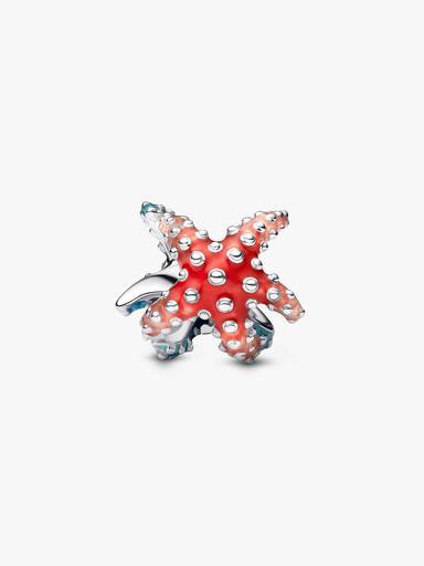 Farbenfroher Seestern Mini-Charm