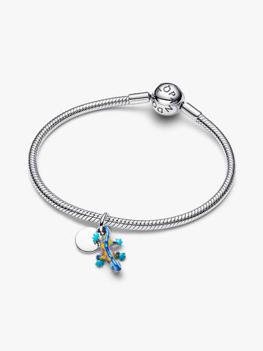 Salamander & Gravierbarer Runder Anhänger Doppelter Charm-Anhänger