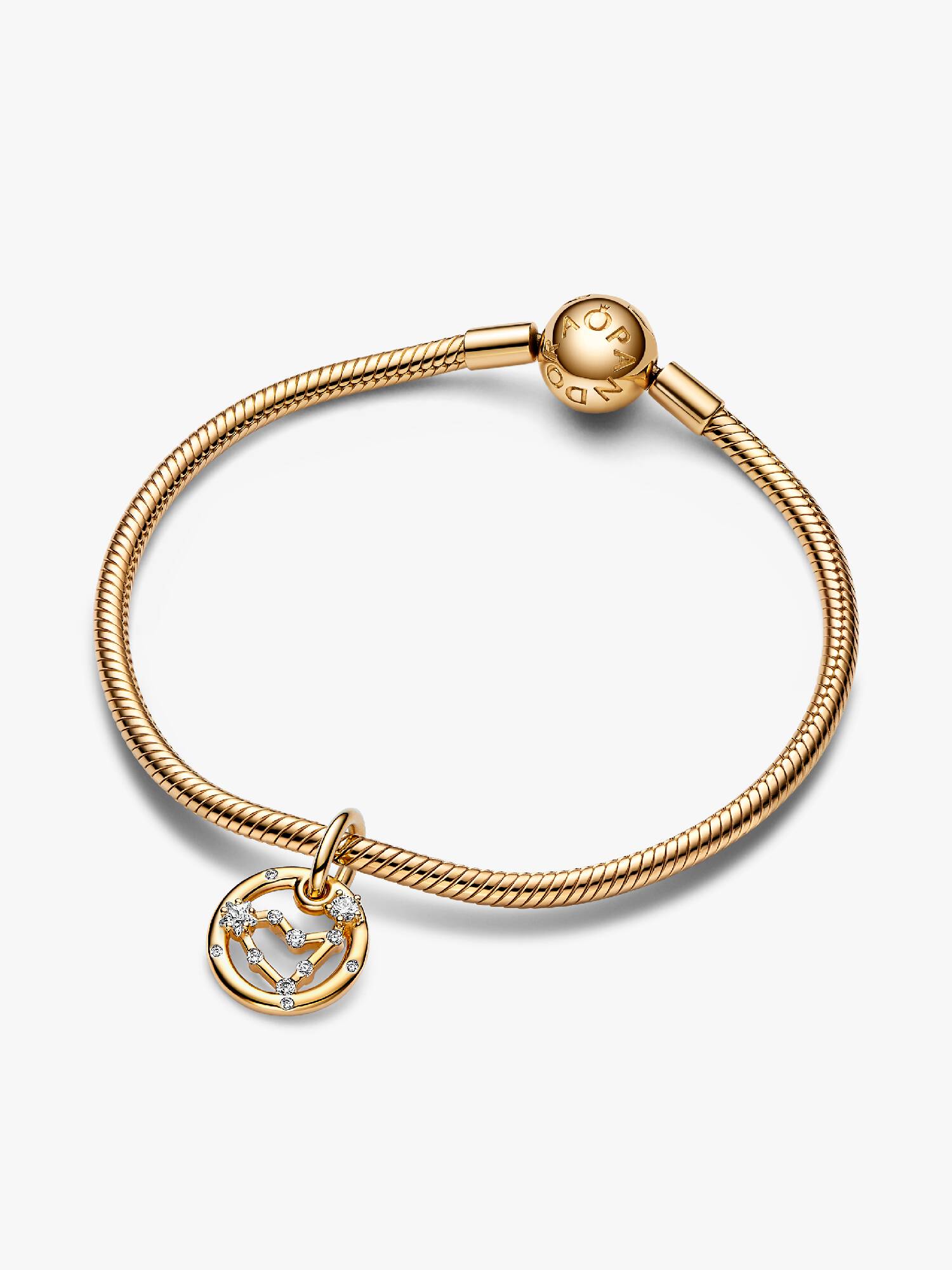 Sternzeichen Steinbock Armband Set