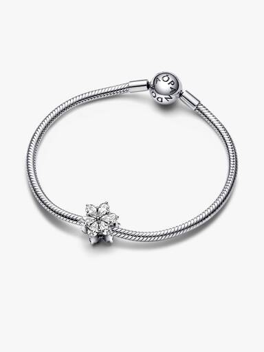 Funkelndes Herbarium Cluster Charm
