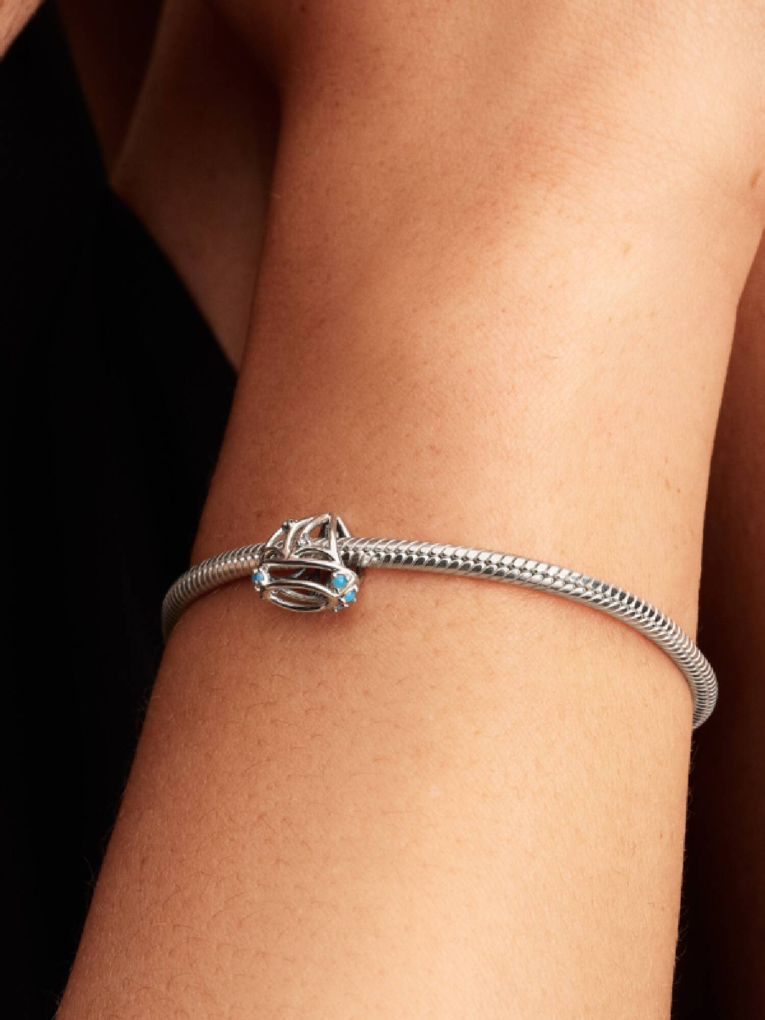 Segelboot Charm