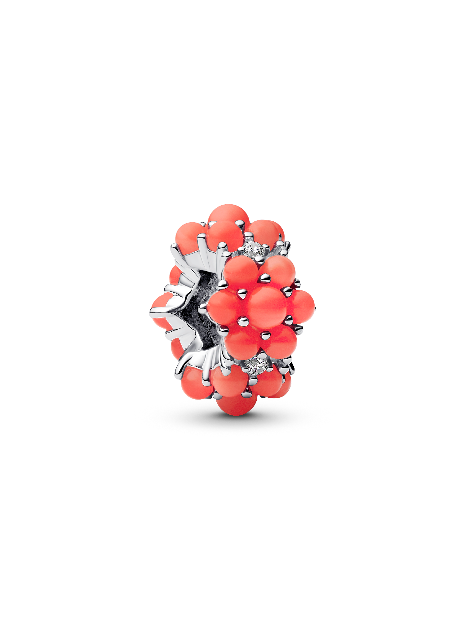 Korallenrotes Ozean Charm