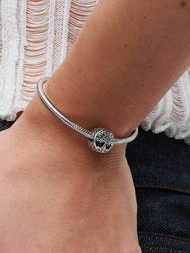 Stammbaum Charm