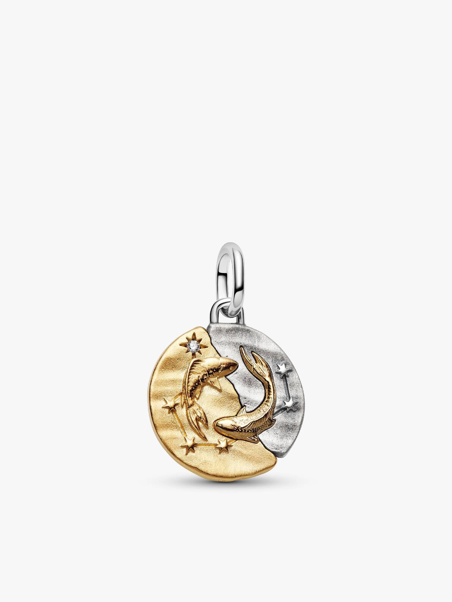 Sternzeichen Fische Medaillon-Charm