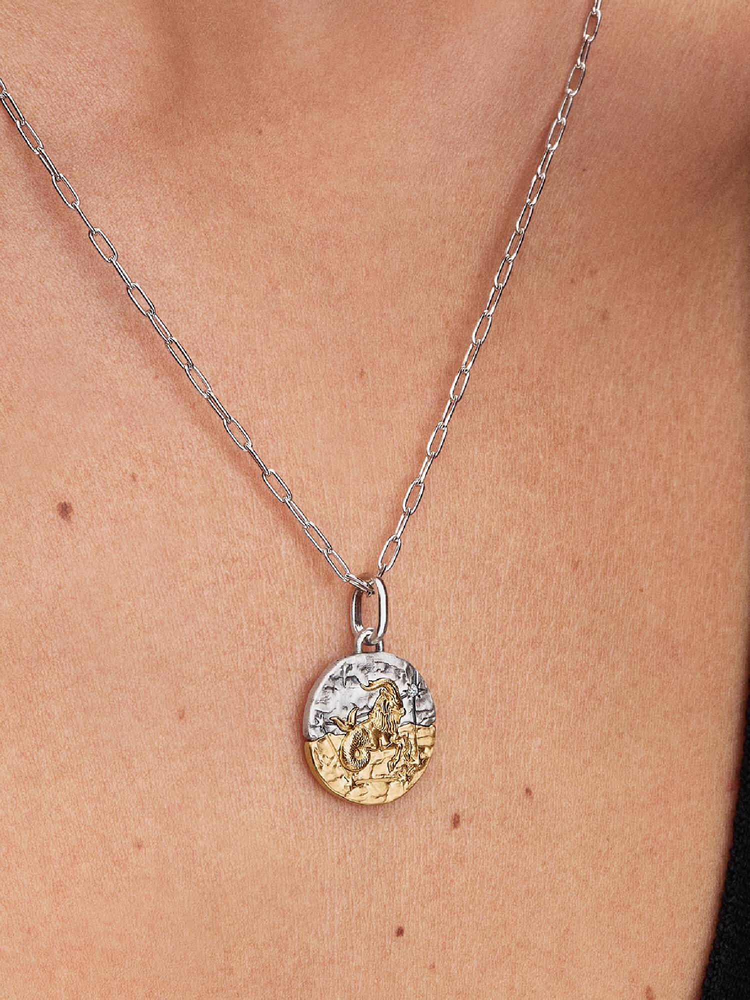 Sternzeichen Steinbock Medaillon-Charm