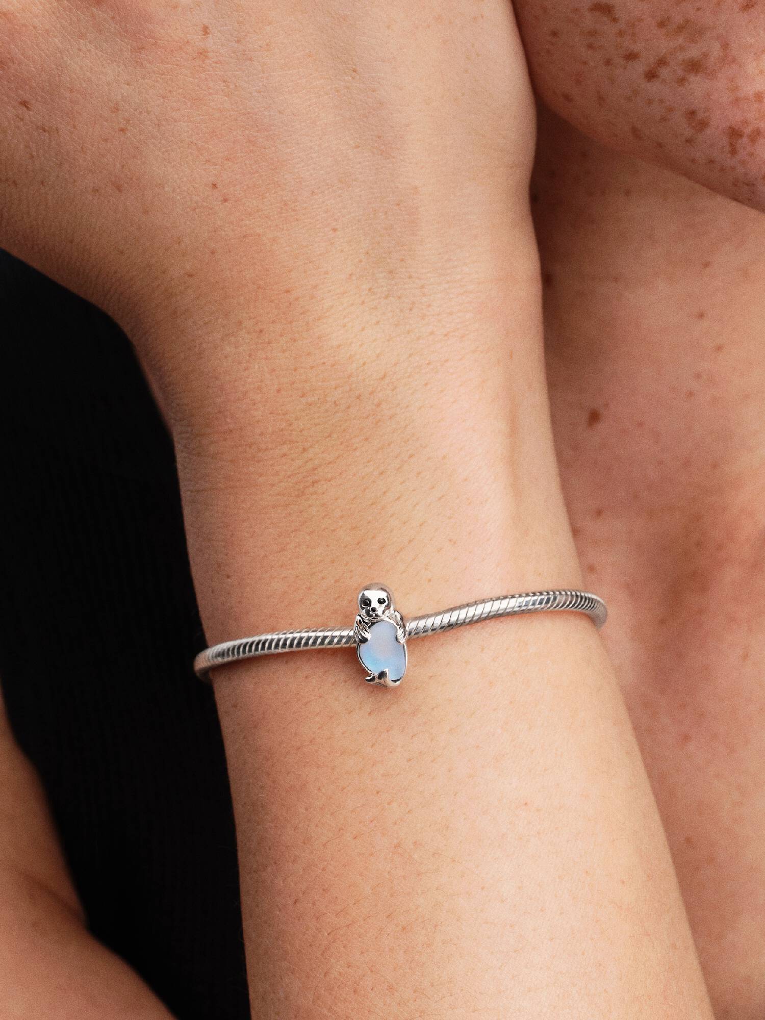 Robbe Charm