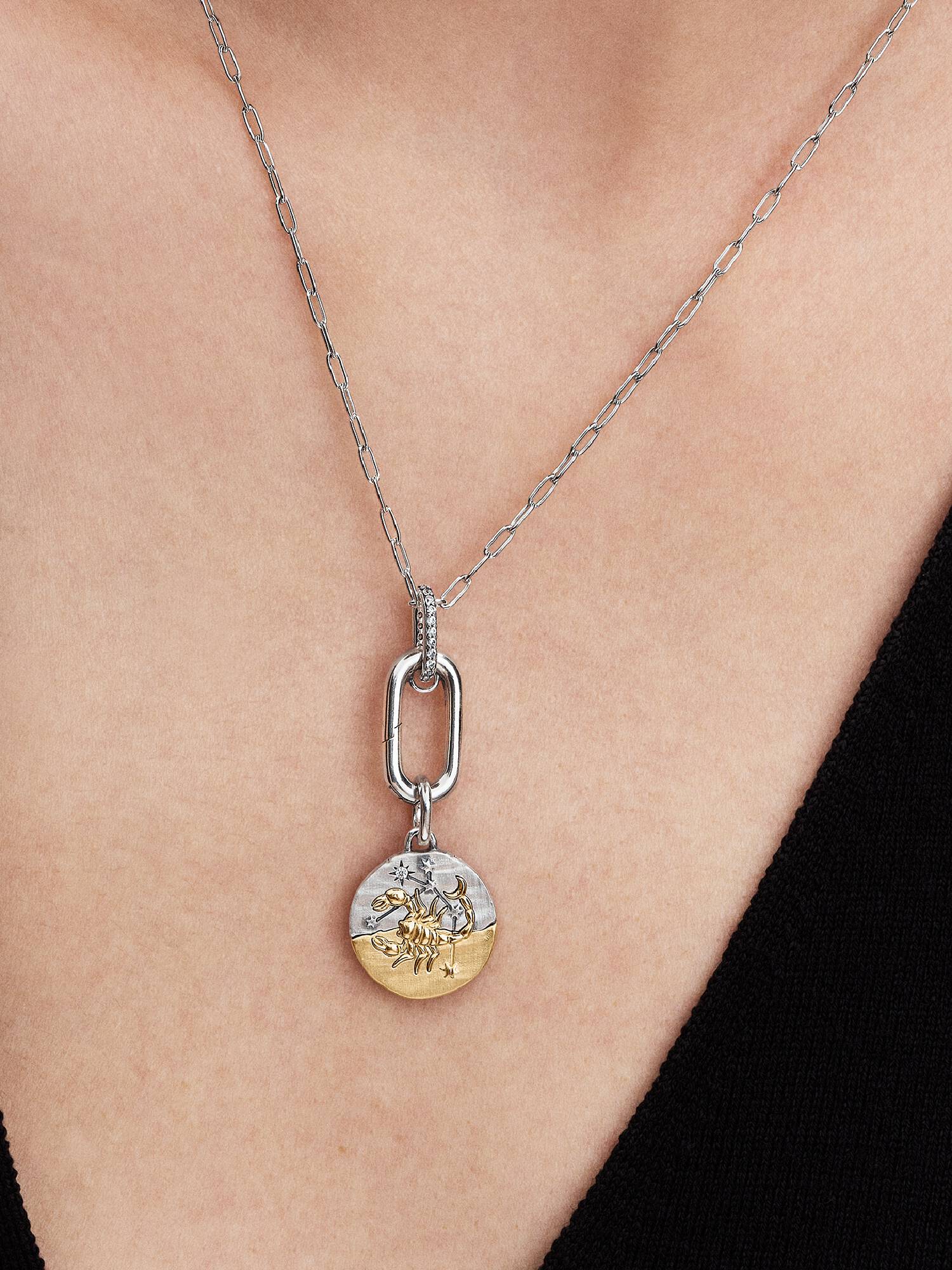 Sternzeichen Skorpion Medaillon-Charm