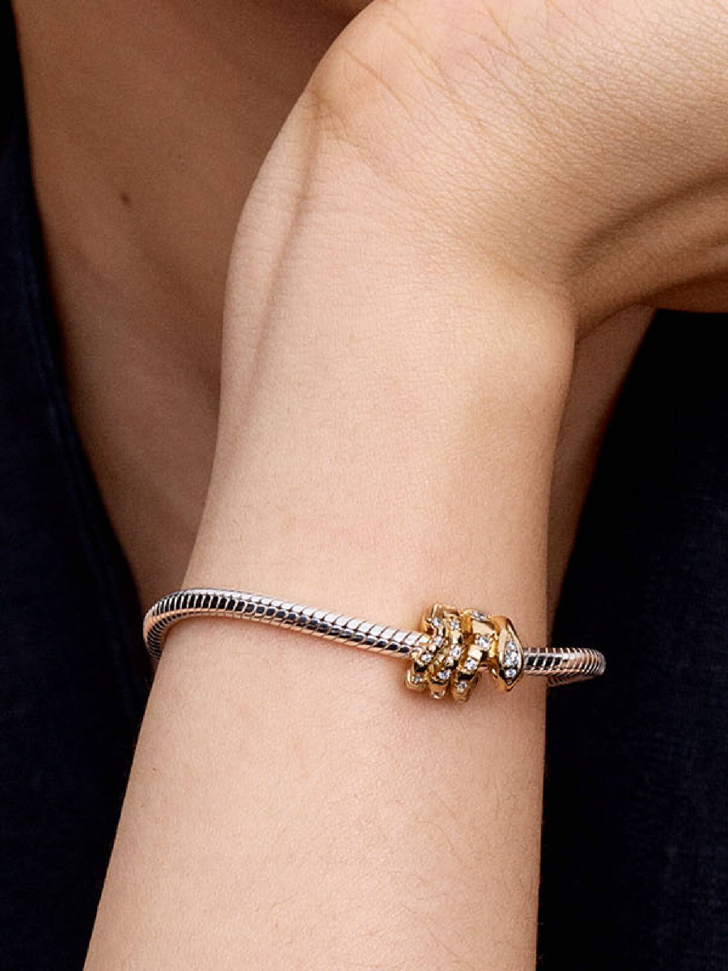 Zusammengerollte Schlange Charm