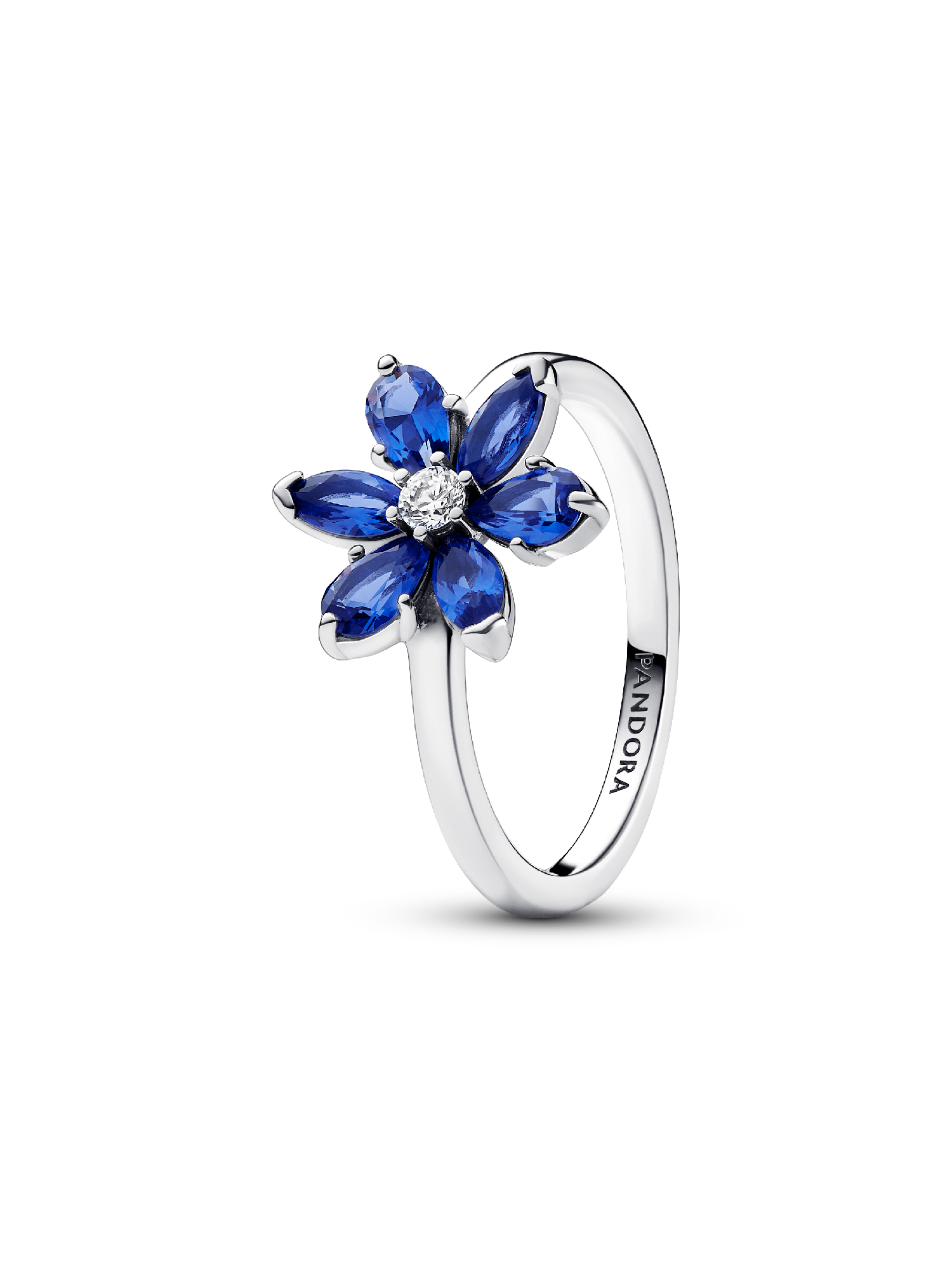 Funkelndes Herbarium Cluster Ring