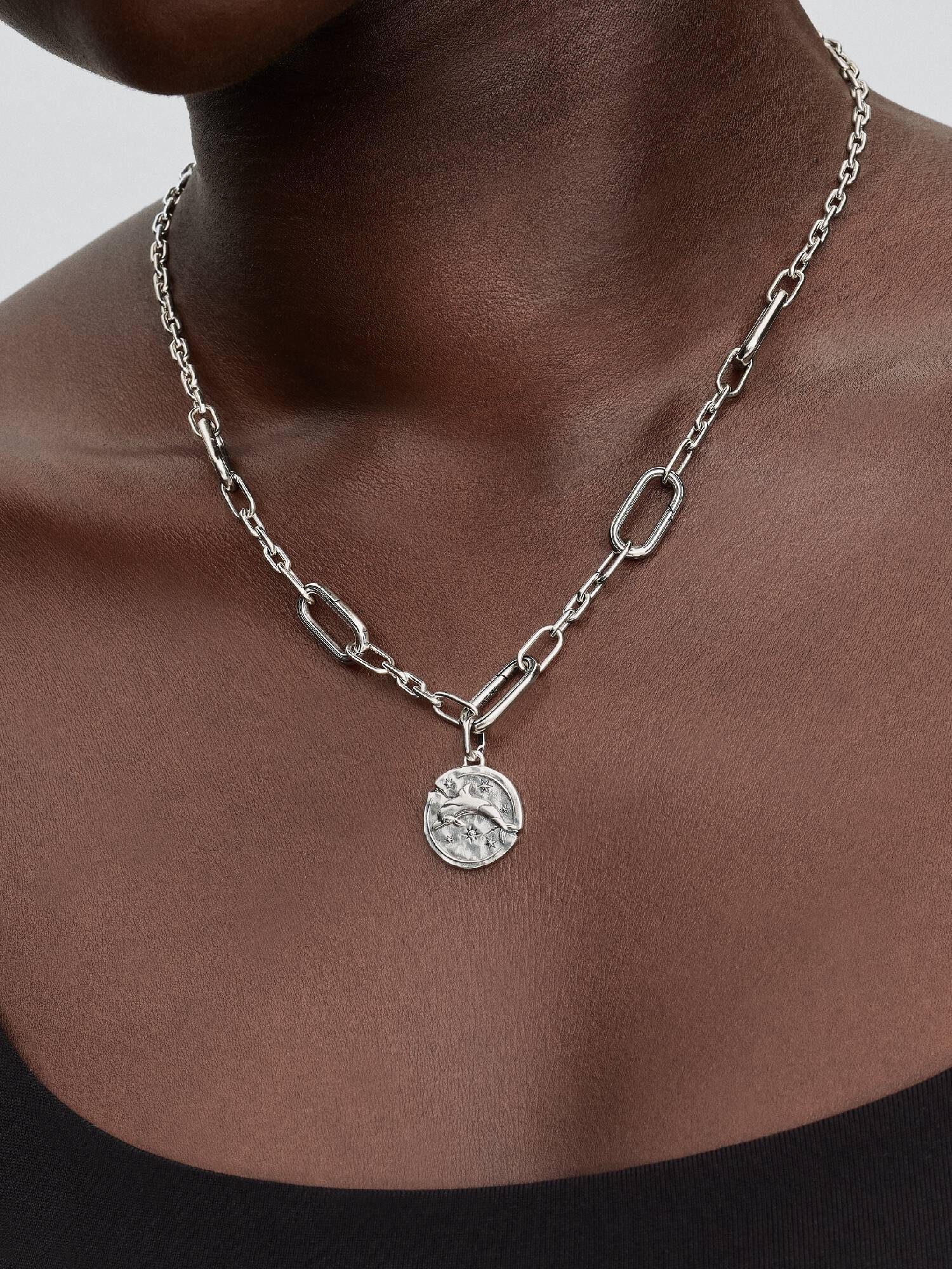 Delfin Medaillon-Charm