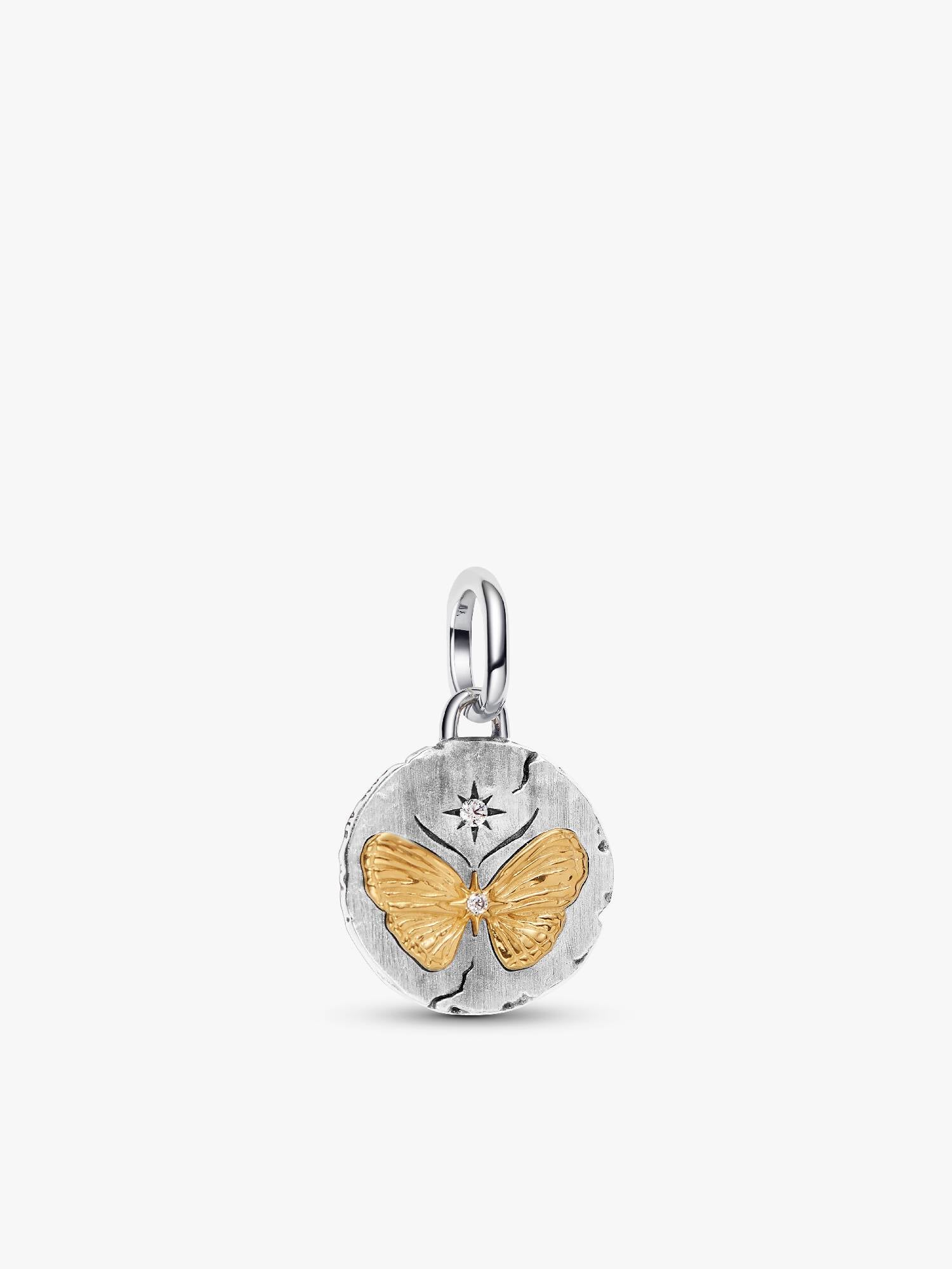 Schmetterling Medaillon-Charm