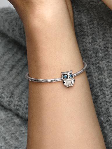 Funkelnde Eule Charm