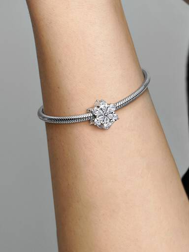 Funkelndes Herbarium Cluster Charm