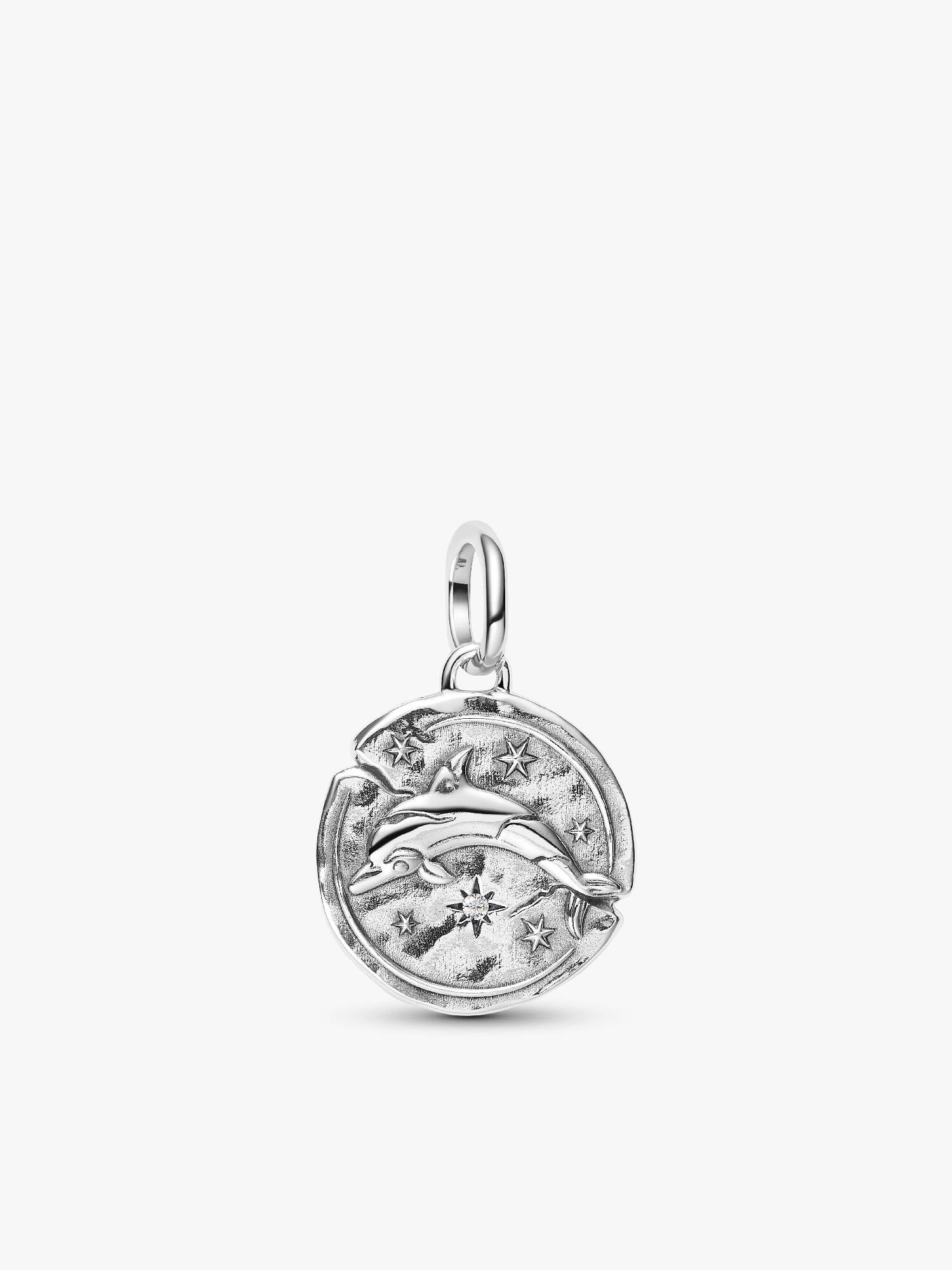 Delfin Medaillon-Charm