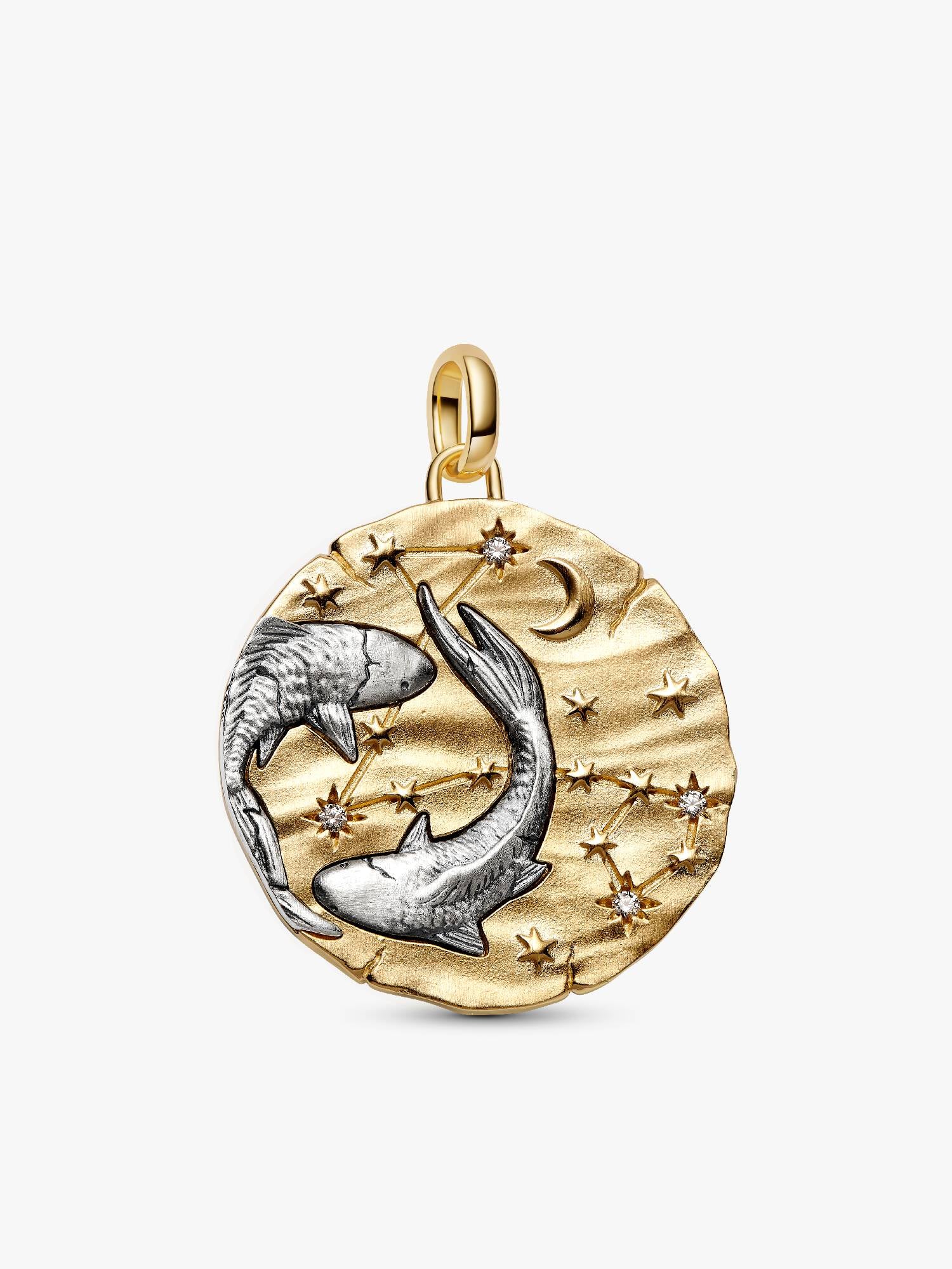 Sternzeichen Fische Großes Medaillon-Charm