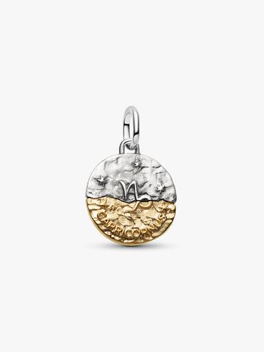 Sternzeichen Steinbock Medaillon-Charm