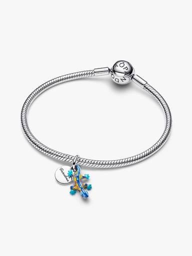 Salamander & Gravierbarer Runder Anhänger Doppelter Charm-Anhänger