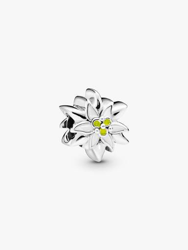 Edelweiß Charm